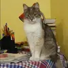 Отзыв от Роза Исакова